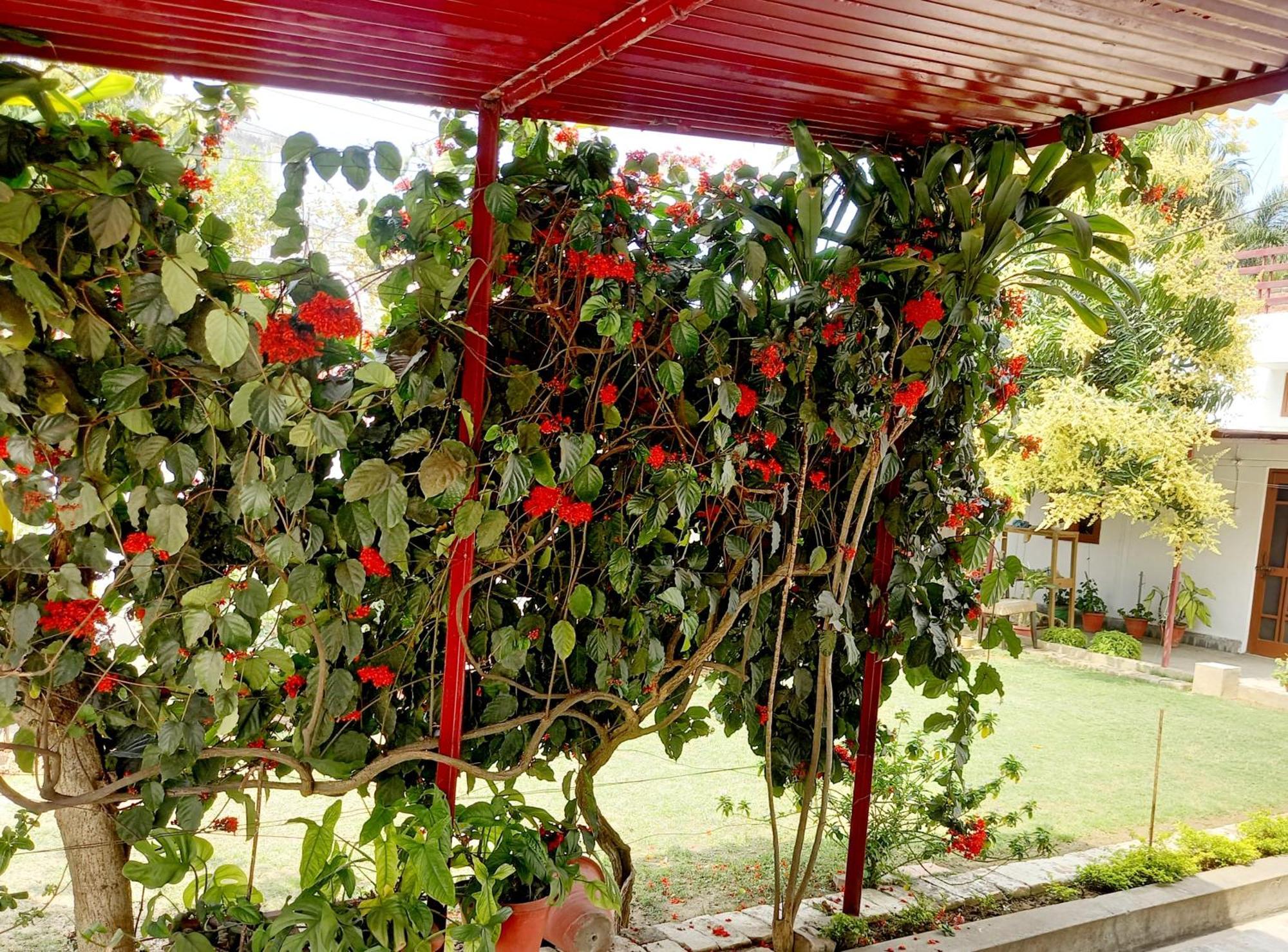 Garden View Residency Bed & Breakfast Lucknow Dış mekan fotoğraf
